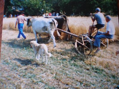 image083