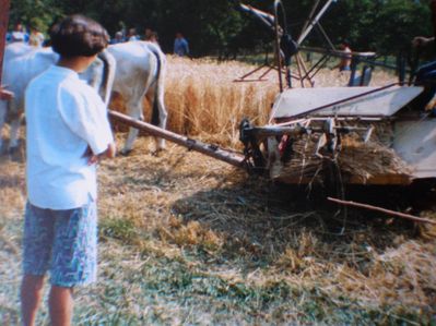 image087