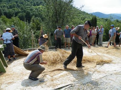 image105