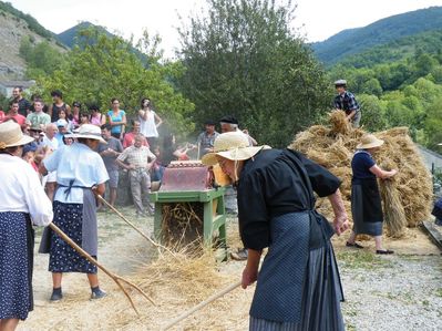 image146