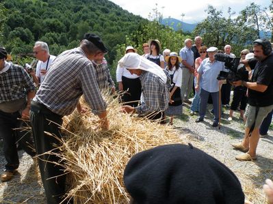 image150