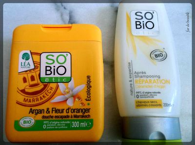 sobio.jpg