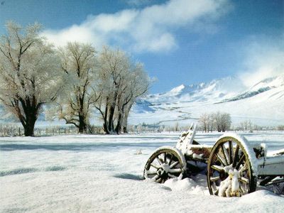 paysage3-hiver