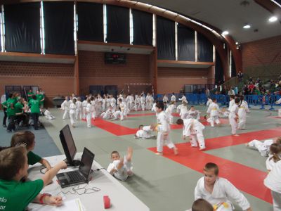 Compete-Henin-judo-11-05-13--2-.JPG