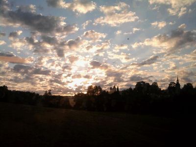 2010-08-09.jpg