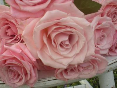 romantiques-roses.jpg