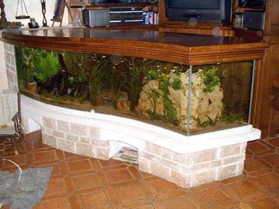 comment construire son propre aquarium