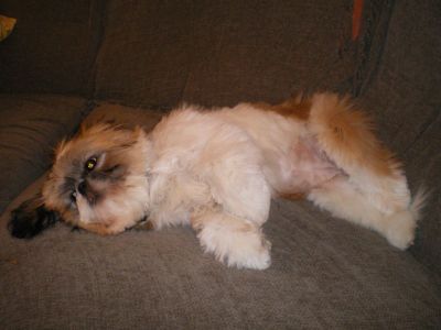 IMGP0631