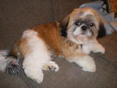 IMGP0635
