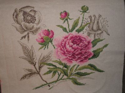 IMGP0669