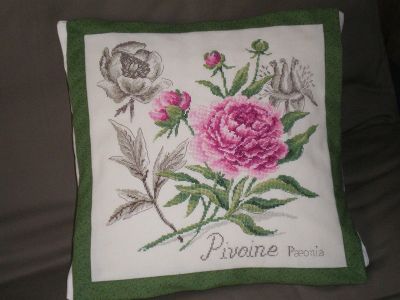 IMGP0677