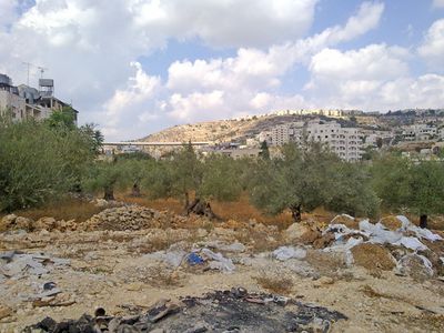 palestine-terrain.jpg