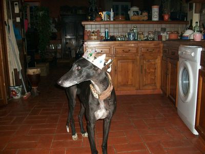 Lindo-069.jpg
