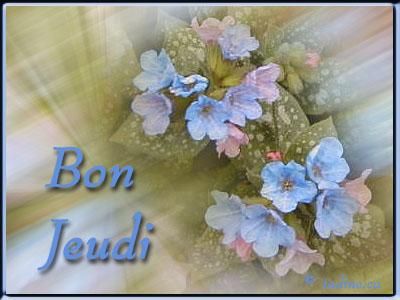 bon jeudi fleur