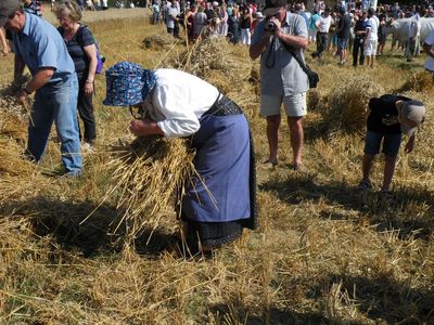 image065