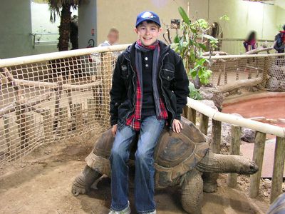 tortue géante d'Aldabra (touroparc)