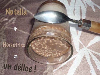 yaourt nutella noisettes