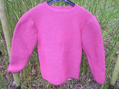 pull-rose-002.JPG