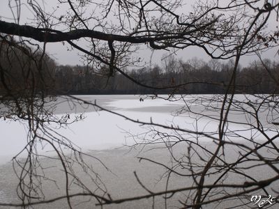 P1102717