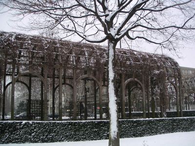 Pergolas sous la neige