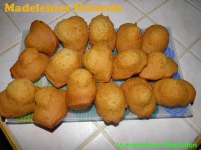 MadeleineNoisette3