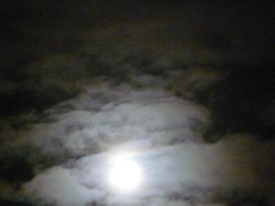 P1120223.JPG