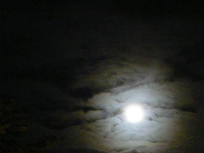 P1120224.JPG