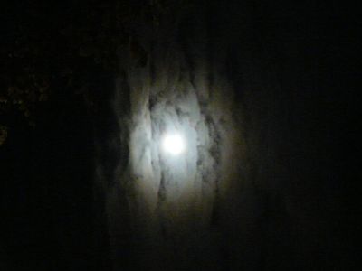 P1120229.JPG