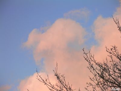 nuage-rose-4.JPG