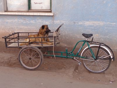 Chien-A tricycle