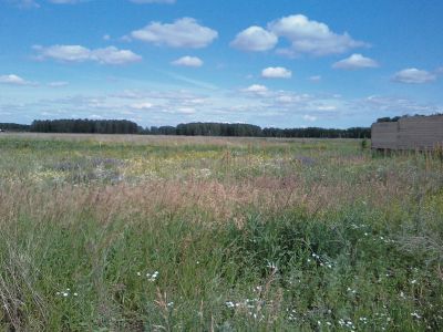 русское поле стихи слушать русское поле стихи слушать