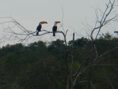 8.9 Iguazú (1)