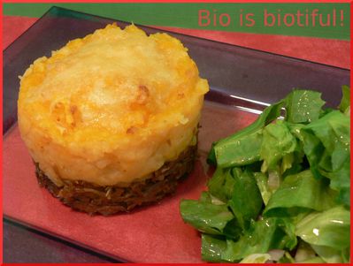 Parmentier-de-canard-a-la-butternut-2.jpg