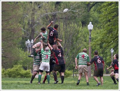 Rugby in forest