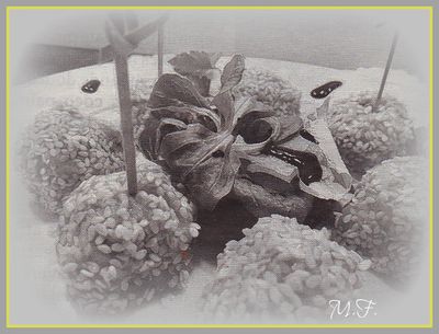 Bonbons-de-saumon-au-sesame-copie-1.jpg