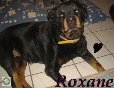 ROXANE--640x480-.jpg