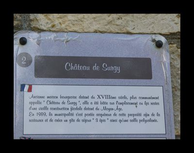 Surgy-1.jpg