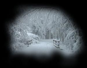 pont-hiver.jpg