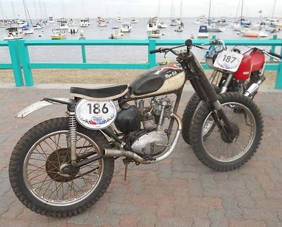 Triumph Cub catalina 2010