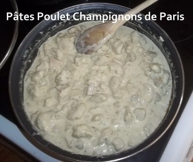 Pates poulet champ 1