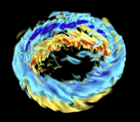 Toroidal magnetic fields generated by dynamo action in the