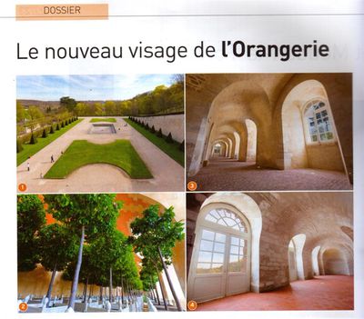 orangerie-2--Large-.jpg