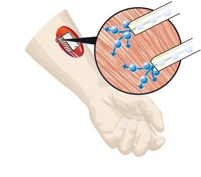circuit-biochimique.jpg.pagespeed.ce.-M3LKzeZLr.jpg