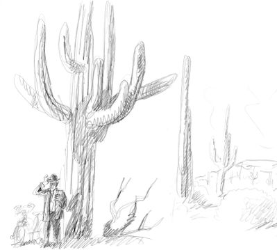 Decor-cactus086.jpg