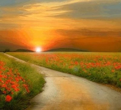 saison-printemps-coquelicot-copie-1.jpg