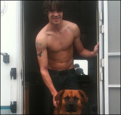 steven r mcqueen gay. steven-r-mc-queen sexy