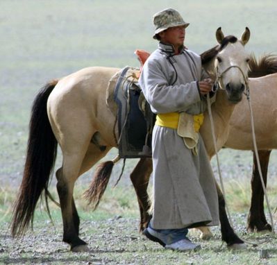chevaux-Mongolie ER 69
