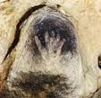 grotte-Gargas-il-y-a--27000-ans.jpg