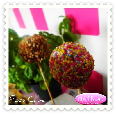 cake-pops-012.JPG