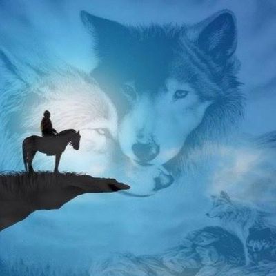 animal-loup-divers.jpg